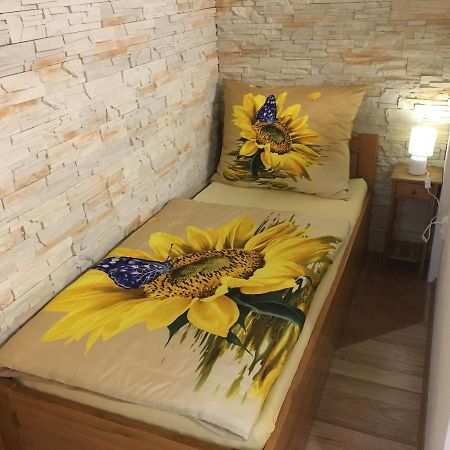 Apartman Slunecnice S Terasou Ceske Budejovice Exterior photo