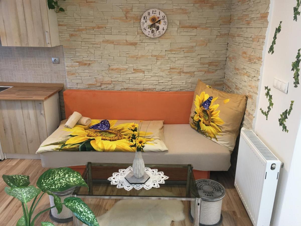 Apartman Slunecnice S Terasou Ceske Budejovice Exterior photo
